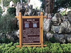 -莲湖公园