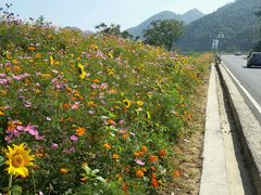 -武陵山森林公园