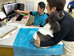 -美联众合爱康动物医院•复杂内科•肿瘤科•牙科•腔镜诊疗中心