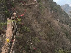 -塔云山