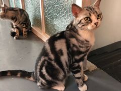 -VOYAGE COFFEE(北锣鼓巷店)