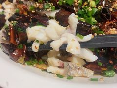 -三猫黑鱼花(南大店)