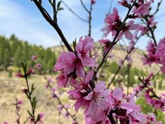 -龙洞风景区-藏龙涧