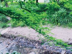 -西湖风景区十里琅珰-五云山