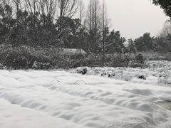 -天目湖刘老四农庄
