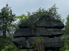 -梭布垭石林景区