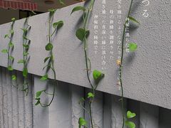 -微饮cafe