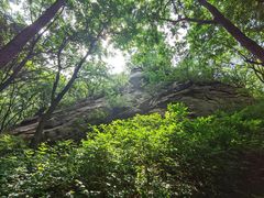 -大岭沟猕猴桃谷风景区