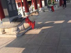 -威海华夏城景区