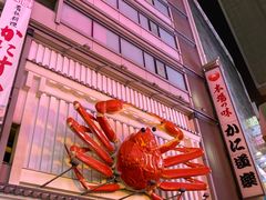 -蟹道乐(道顿堀本店)