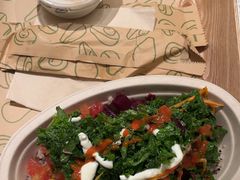 -油梨树 AVOCADO TREE(亮马桥店)