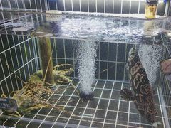 -苏淮景·苏闽融创菜·海鲜(原空港井河轩店)