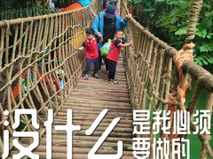 -呀路古热带植物园