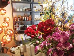 -PlantsEatery·植物食堂(REX春熙店)