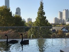 -行者书屋大堂吧 ·下午茶(南京圣和府邸酒店)