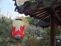 -上海醉白池公园