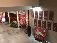 -杭州第一世界大酒店·云曼温泉