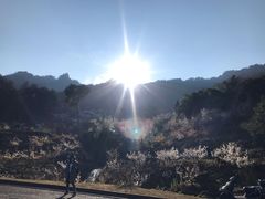 -樱桃山旅游景区