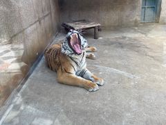 -西安秦岭野生动物园