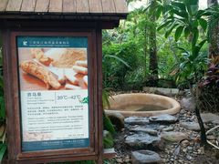 -三亚珠江南田温泉度假区