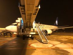 -威海大水泊国际机场