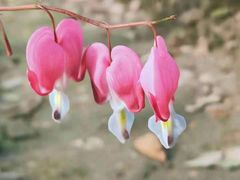 -江南大学(蠡湖校区)