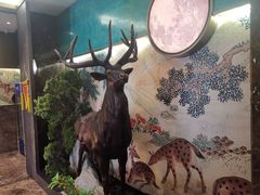-新白鹿餐厅(金鹰新街口店)