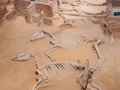 -洛阳周王城天子驾六博物馆