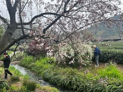 -中国茶叶博物馆(双峰馆区)