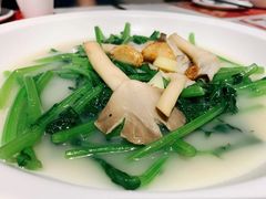 上汤茼蒿-西酒时光(恒福店)