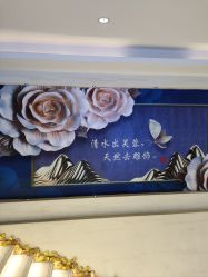 -石家庄苏亚美联臣医疗美容医院