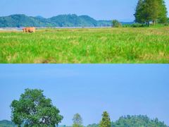 -万佛湖风景区