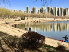 -丁香湖公园