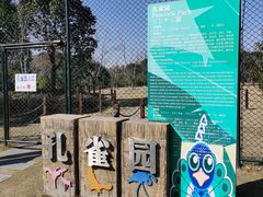 -自然谷恐龙园