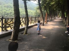 -滴水岩森林公园