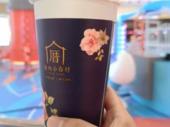 -龙湖南京江北天街