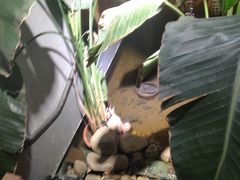 -邈墨茶馆(凤起路店)