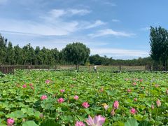 -渔岛海洋度假区