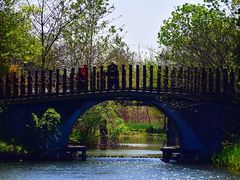 -溱湖国家湿地公园