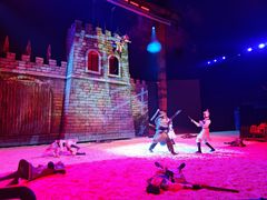 -水秀国际大剧院