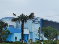 -芜湖新华联大白鲸海洋公园