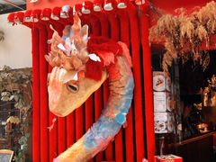 -溪岸路花鸟市场