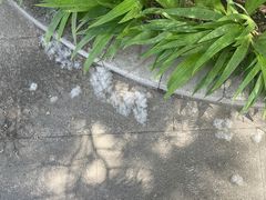 -济南国际园博园