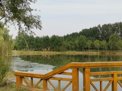 -东郊湿地公园