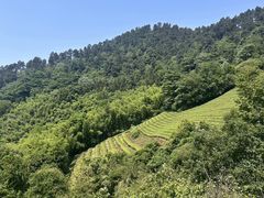 -敬亭山风景名胜区