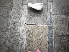 -北京国子监胡同