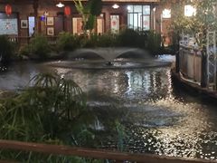 -大门水乡·顺德菜