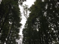 -灵栖洞天