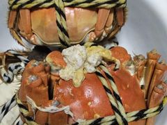 -喜洋洋蟹庄(阳澄湖店)
