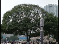 -观音桥步行街